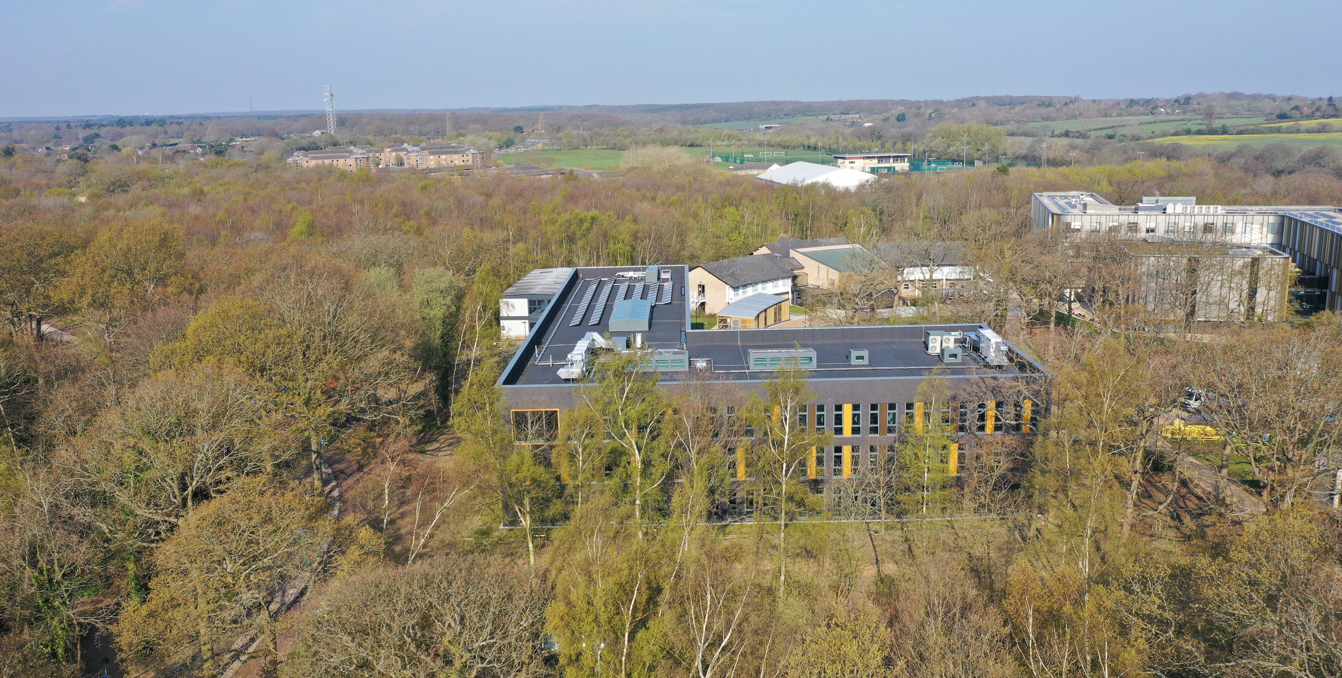 Univerity of Kent Economics building trees.JPG