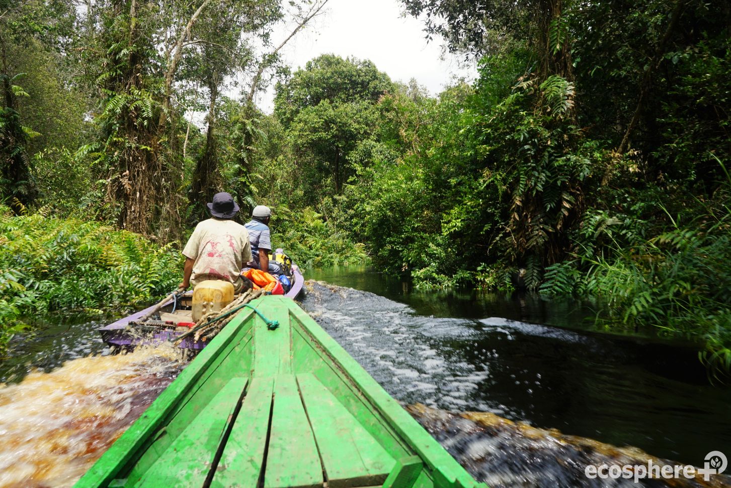 Carbon offsetting Indonesia (3).jpg