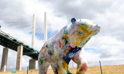 Free Fairfield Leisure passes up for grabs in Dartford summer bear hunt